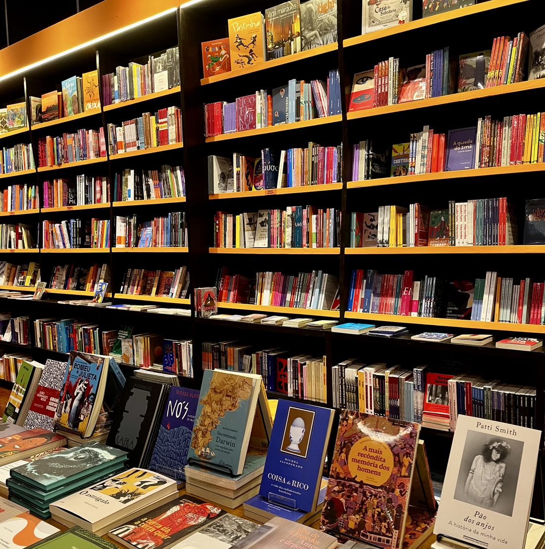 Terra Libris: uma nova livraria nasce no coração cultural de Salvador