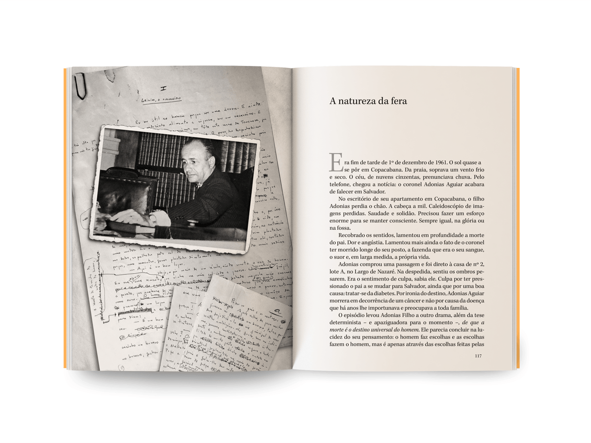 Adonias Filho – A força da terra