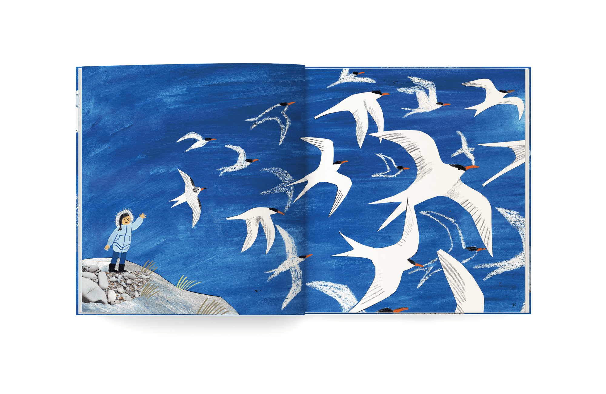 Pelo caminho das estrelas