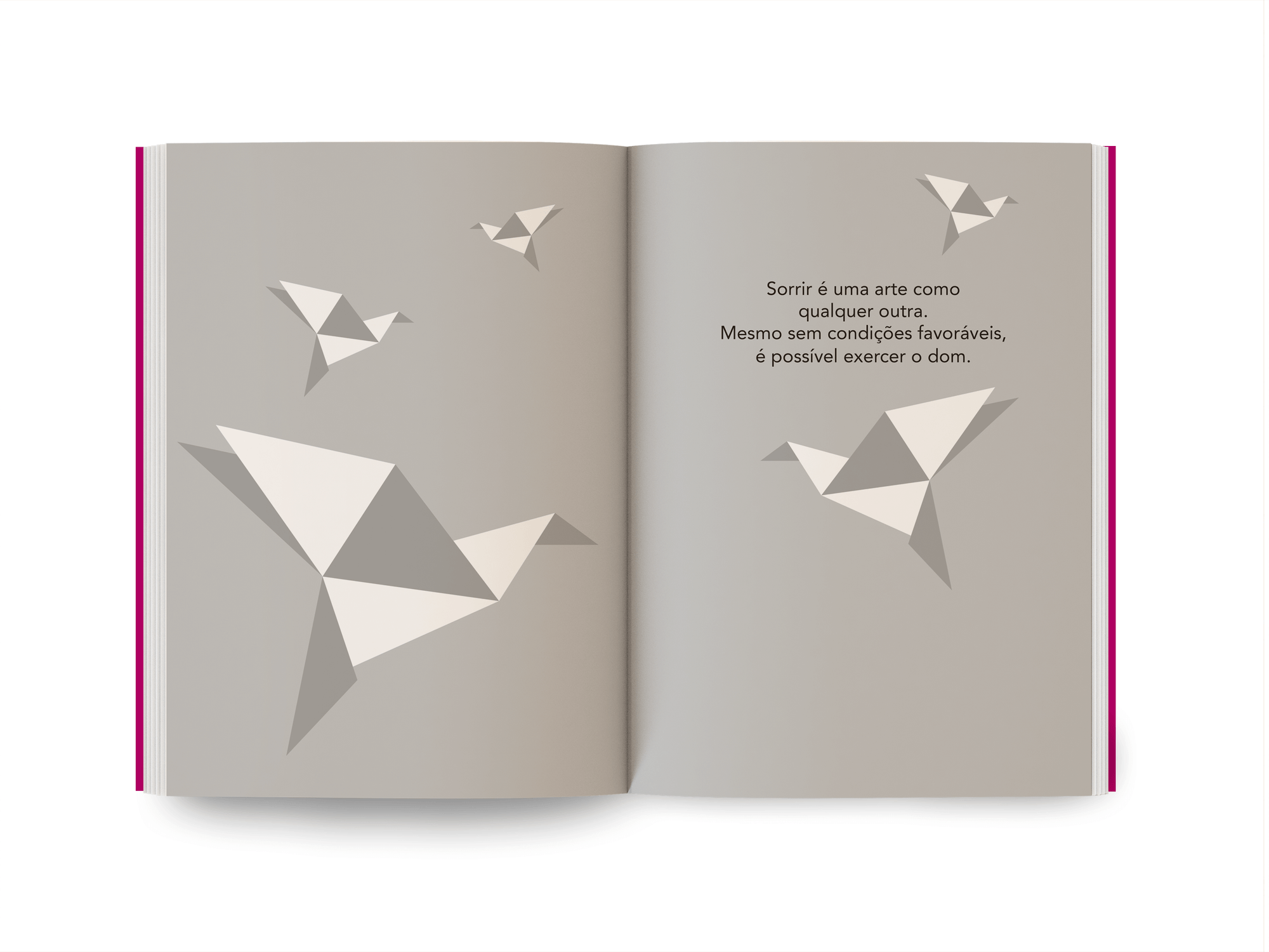 Um encontro inesperado